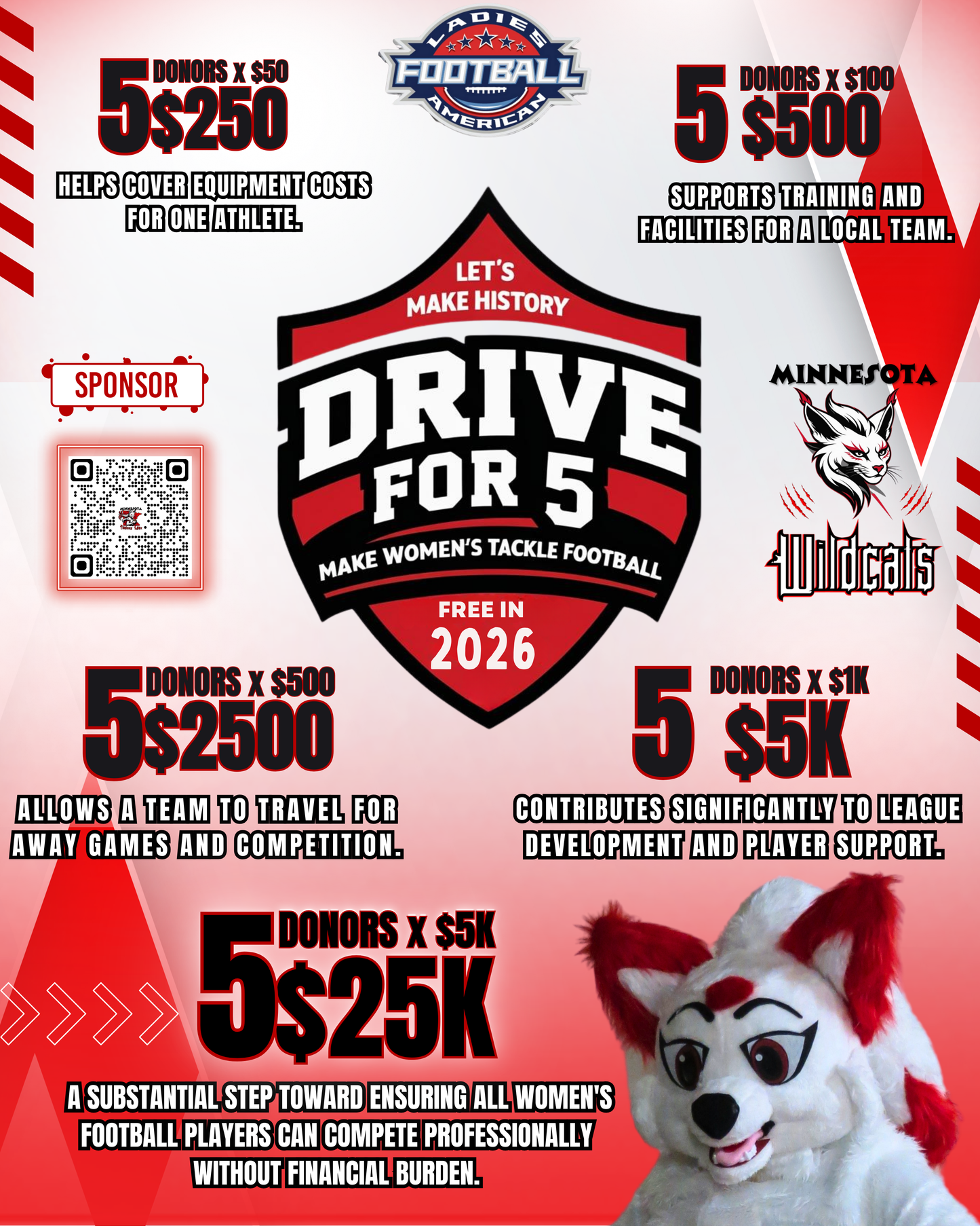 MN Wildcats Fundraiser - Drive for 5